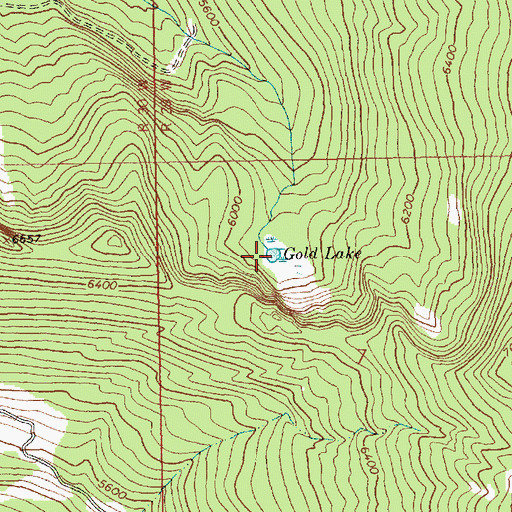 Topographic Map of Gold Lake, MT