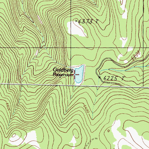 Topographic Map of Goldberg Reservoir, MT