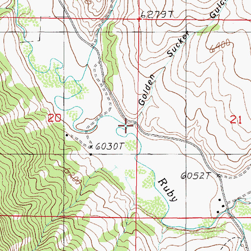 Topographic Map of Golden Sucker Gulch, MT