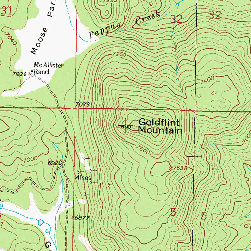Topographic Map of Goldflint Mountain, MT
