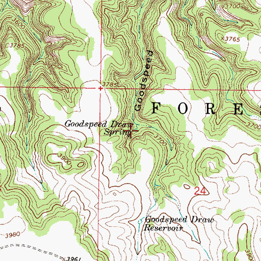 Topographic Map of Goodspeed Draw Spring, MT