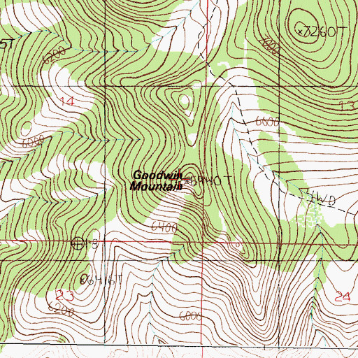 Topographic Map of Goodwin Mountain, MT
