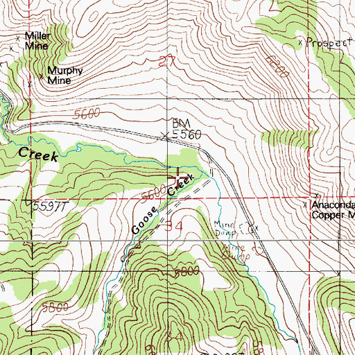 Topographic Map of Goose Creek, MT