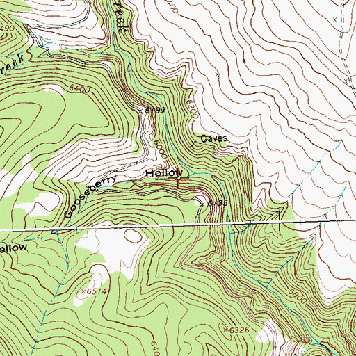 Topographic Map of Gooseberry Hollow, MT