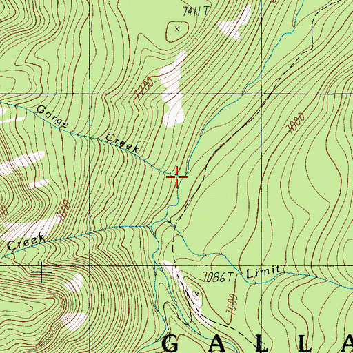 Topographic Map of Gorge Creek, MT
