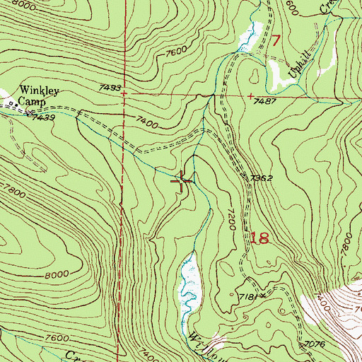 Topographic Map of Gorge Creek, MT