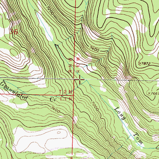 Topographic Map of Granulated Creek, MT