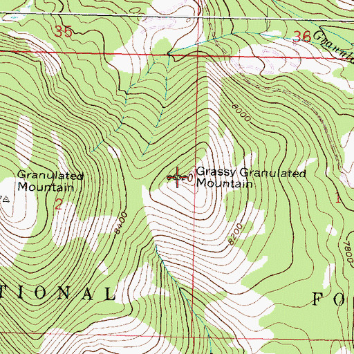 Topographic Map of Grassy Granulated Mountain, MT