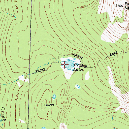 Topographic Map of Grassy Lake, MT