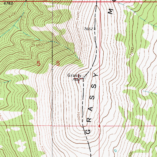 Topographic Map of Grassy Mountain, MT