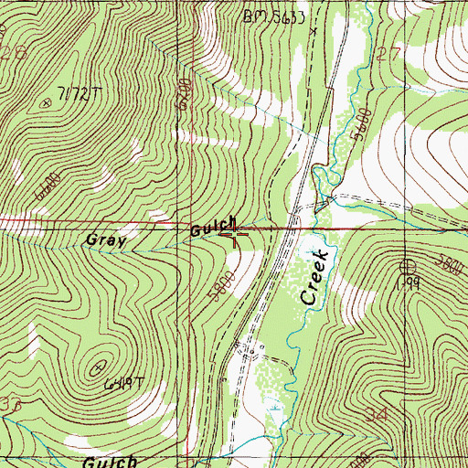 Topographic Map of Gray Gulch, MT