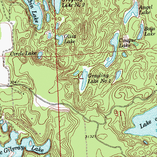 Topographic Map of Grayling Lake Number One, MT