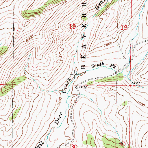 Topographic Map of Grays Fork, MT