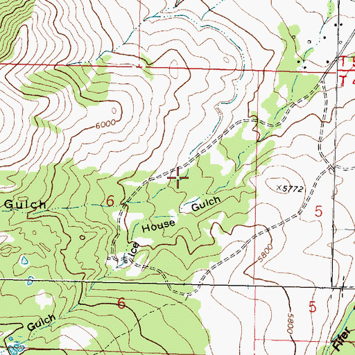 Topographic Map of Grays Gulch, MT