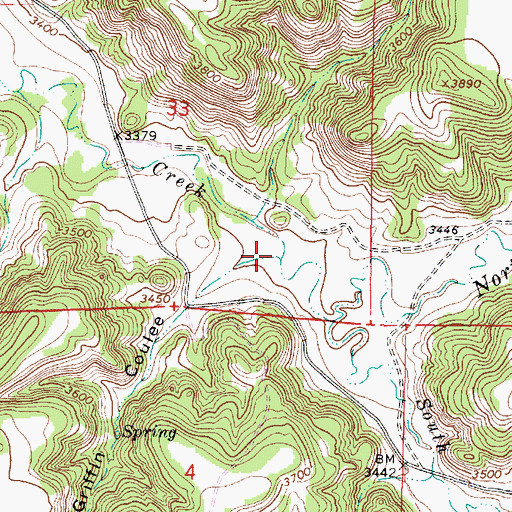 Topographic Map of Griffin Coulee, MT
