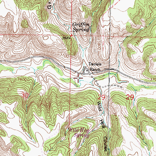 Topographic Map of Griffin Gulch, MT