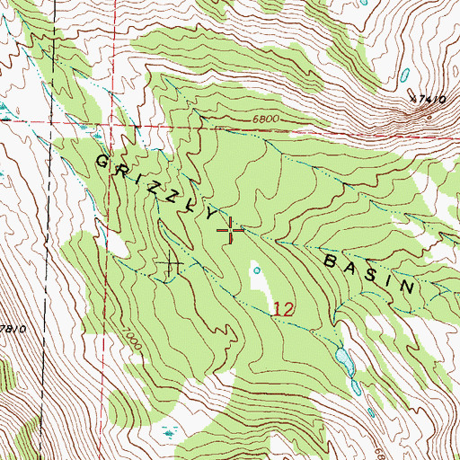 Topographic Map of Grizzly Basin, MT