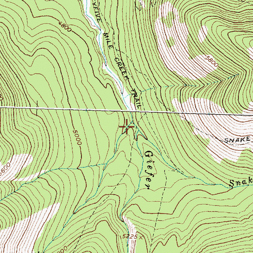 Topographic Map of Grizzly Creek, MT