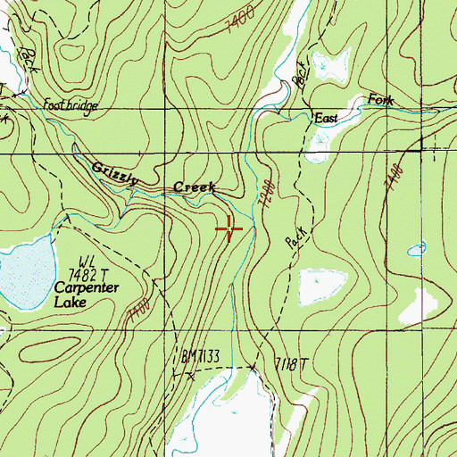 Topographic Map of Grizzly Creek, MT