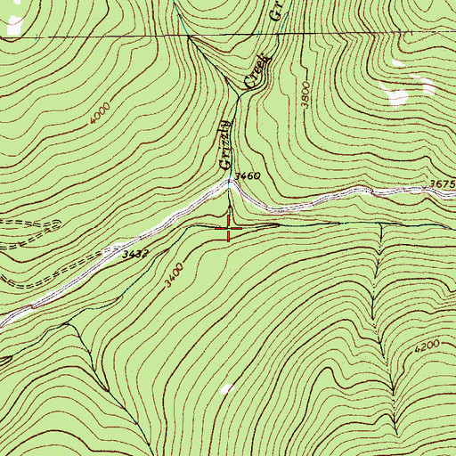 Topographic Map of Grizzly Creek, MT