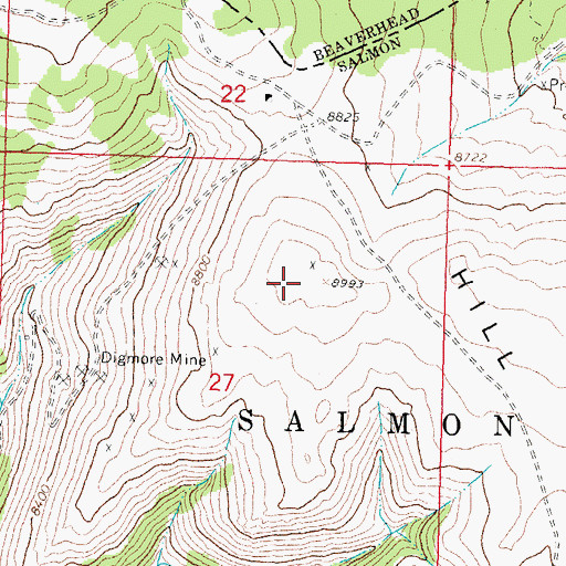 Topographic Map of Grizzly Hill, MT