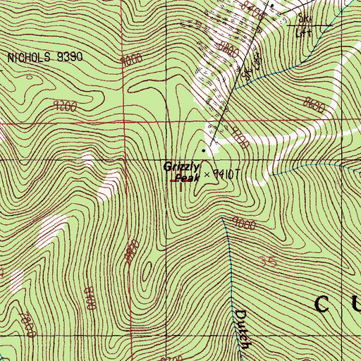 Topographic Map of Grizzly Peak, MT