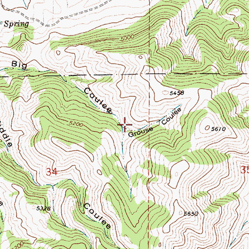 Topographic Map of Grouse Coulee, MT