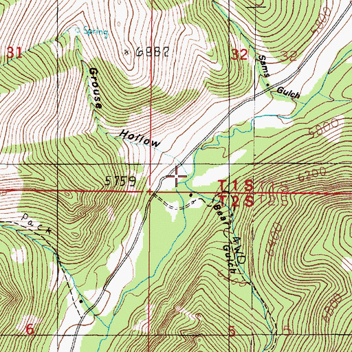 Topographic Map of Grouse Hollow, MT