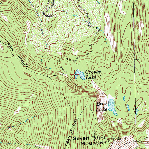 Topographic Map of Grouse Lake, MT