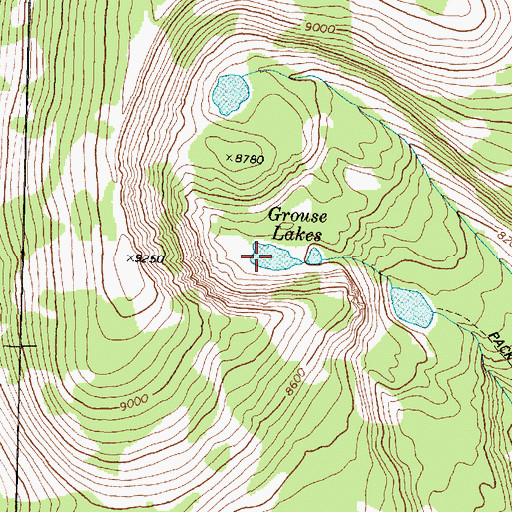 Topographic Map of Grouse Lakes, MT