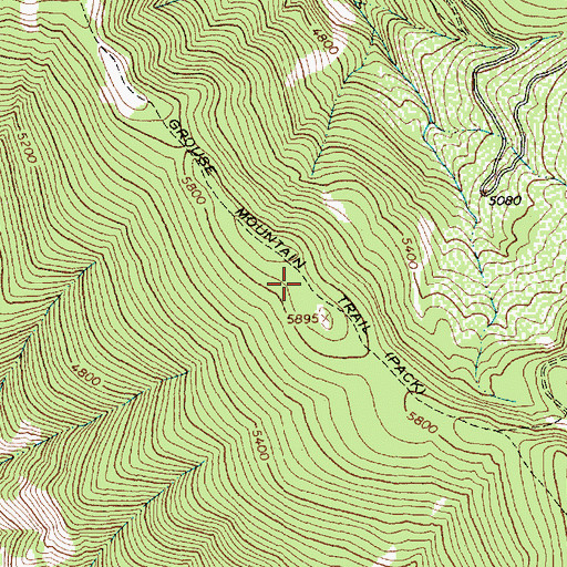 Topographic Map of Grouse Mountain Trail, MT