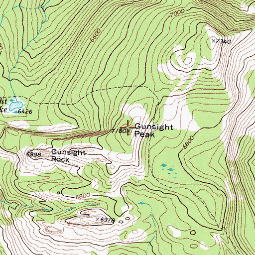 Topographic Map of Gunsight Peak, MT