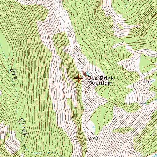 Topographic Map of Gus Brink Mountain, MT