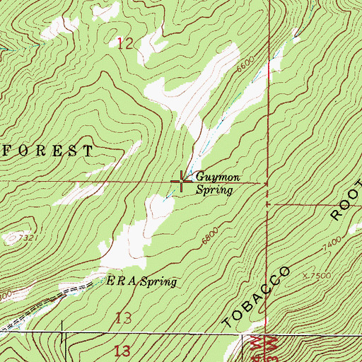 Topographic Map of Guymon Spring, MT