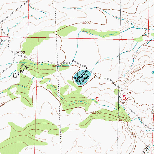 Topographic Map of Hagan Pond, MT
