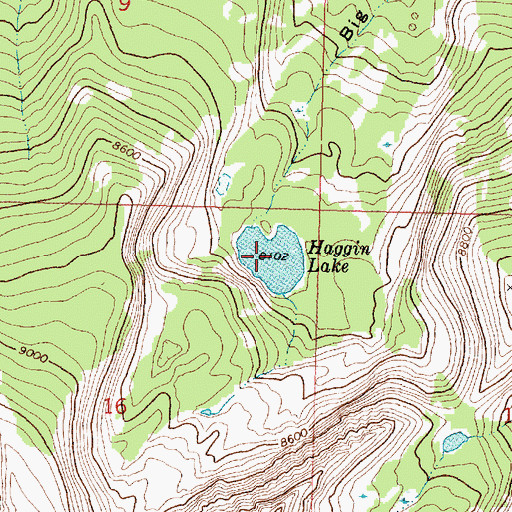 Topographic Map of Haggin Lake, MT