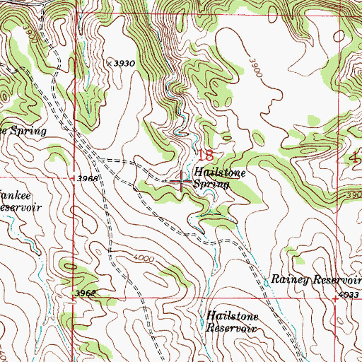 Topographic Map of Hailstone Spring, MT