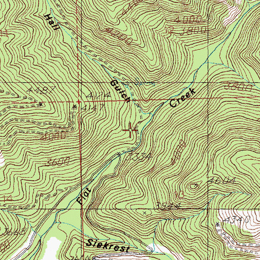 Topographic Map of Hall Gulch, MT