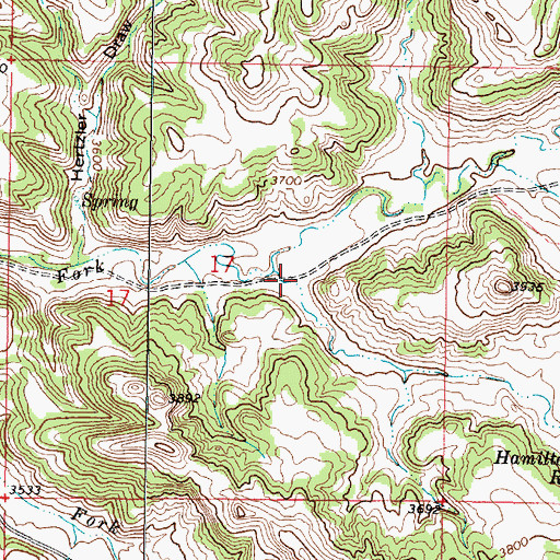 Topographic Map of Hamilton Draw, MT
