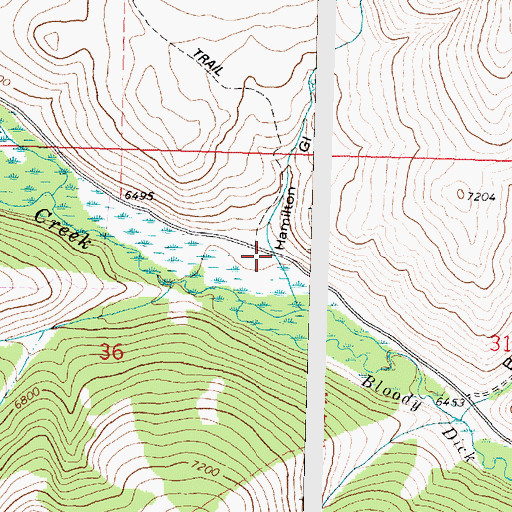 Topographic Map of Hamilton Gulch, MT