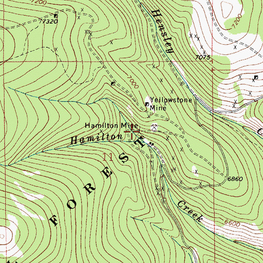 Topographic Map of Hamilton Mine, MT