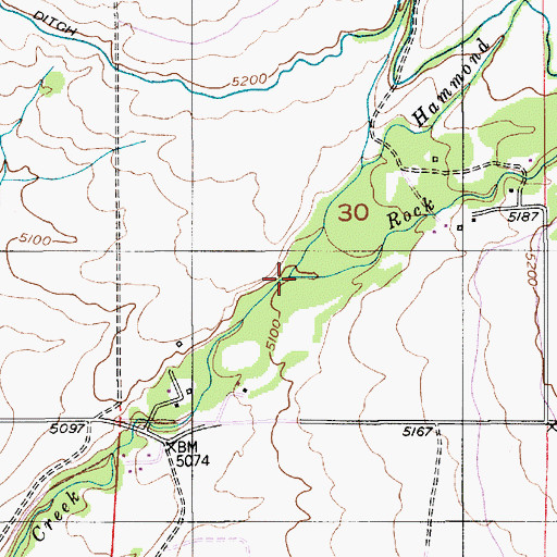 Topographic Map of Hammond Creek, MT