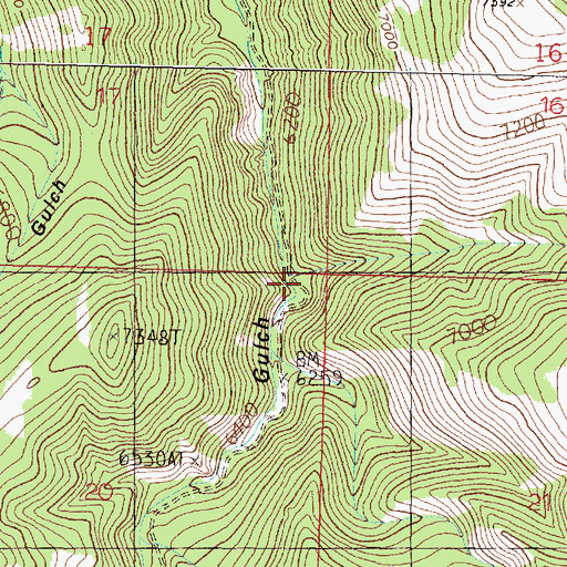 Topographic Map of Happy Camp, MT
