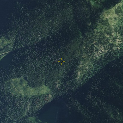 Aerial/Satellite Image of Harris Ridge Trail, MT