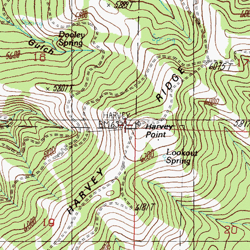 Topographic Map of Harvey Point, MT