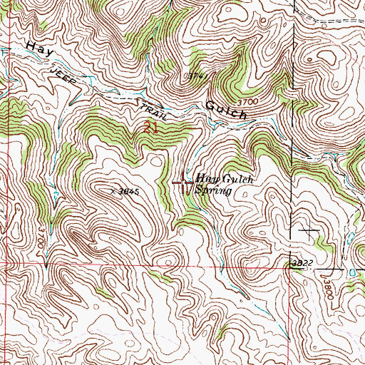 Topographic Map of Hay Gulch Spring, MT