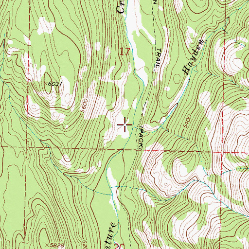 Topographic Map of Hayden Creek, MT