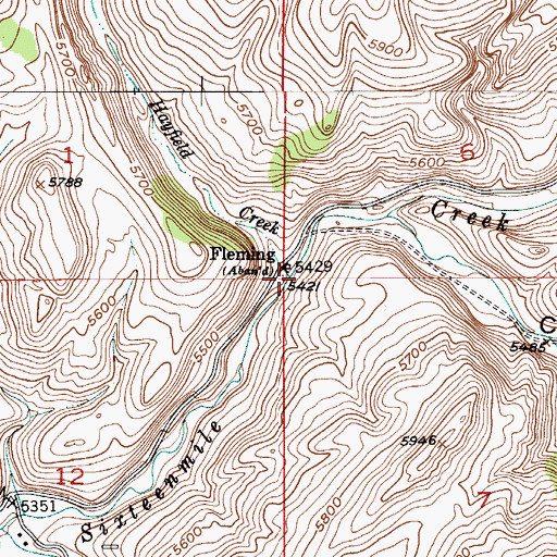 Topographic Map of Hayfield Creek, MT