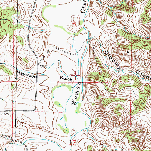 Topographic Map of Haywood Gulch, MT