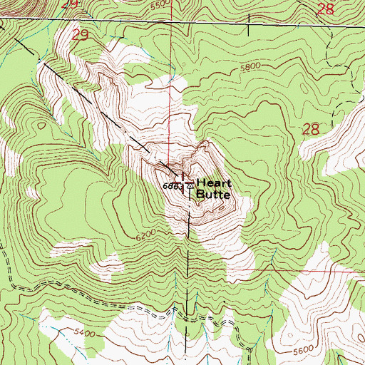Topographic Map of Heart Butte, MT